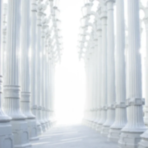 This is a background image for the text of The Nonprofit CIO. The photo shows several white pillars in a glowing ambiance. The image is blurred out to facilitate reading the overlay text.  